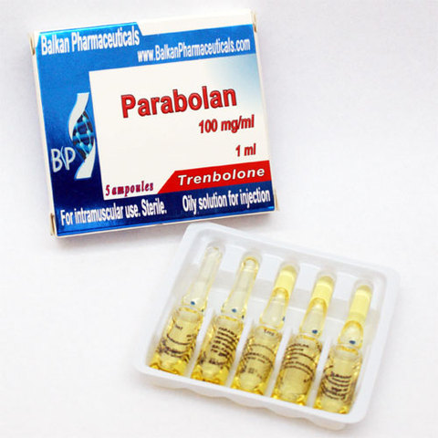 parabolan-500x500.jpg