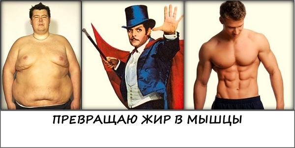 Превращаю-жир-в-мышцы.jpg