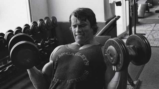 arnold-shvarcenegger-arnold-5488-min.jpg.pagespeed.ce.dOW0MTaUbS.jpg