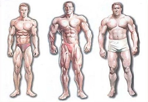 typy-teloslozheniya.jpg