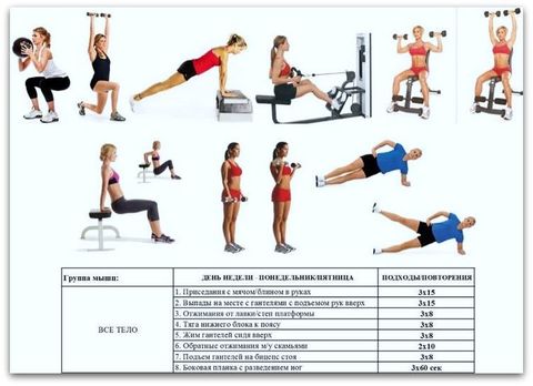 сушка женщина.jpg