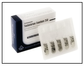 testosteron_enantat.jpg