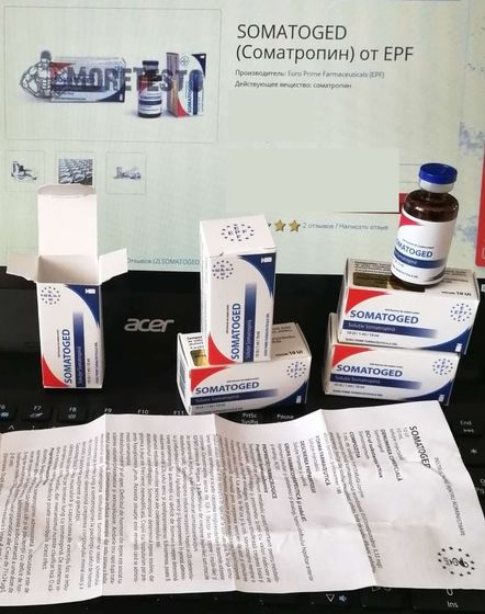 gormon Rosta Somatoged.jpg