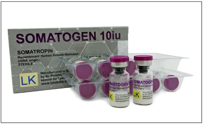 somatogen.jpg