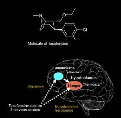 Tesofensine.jpg.0090d631342c9ad6cae96281d6e8ab20.jpg