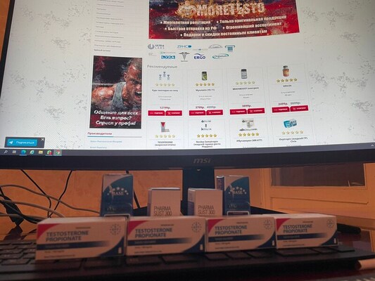 WhatsApp Image 2022-03-02 at 18.33.01.jpeg