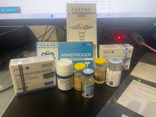 WhatsApp Image 2024-07-15 at 19.34.17.jpeg