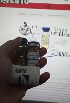 test-u-zphc-2026-moretesto.jpg