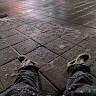 avantroses